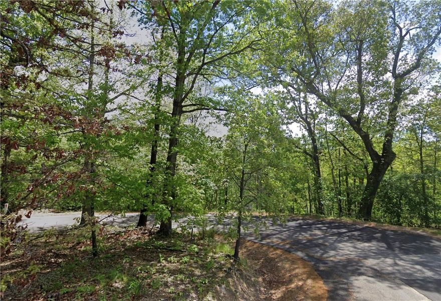 Wooded, buildable .31-acre lot backing up to Tunnel Vision Trails. Suitable for a 2–3 bedroom home. Located just minutes from Lake Windsor, Pontoon Park, and Kingswood Golf Course.