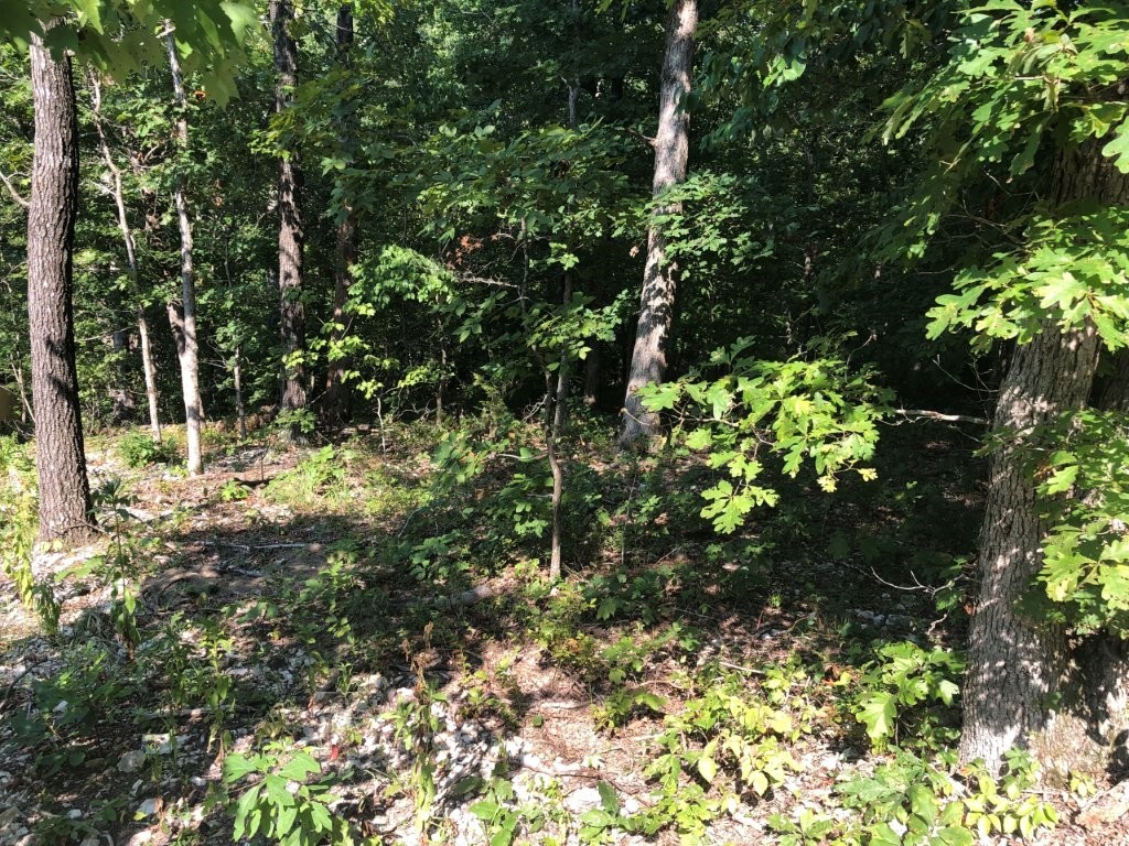 0.27(+/-) acres in area of new homes. Ideal for walkout basement.