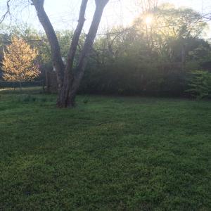 Pine Crest Hill - Residential