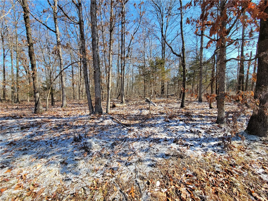 This is a perfectly FLAT lot! Recent perc test results show 320 ft of lateral lines needed for this .32 ac lot. Very peaceful and private setting. Pea Ridge schools. Go check it out!