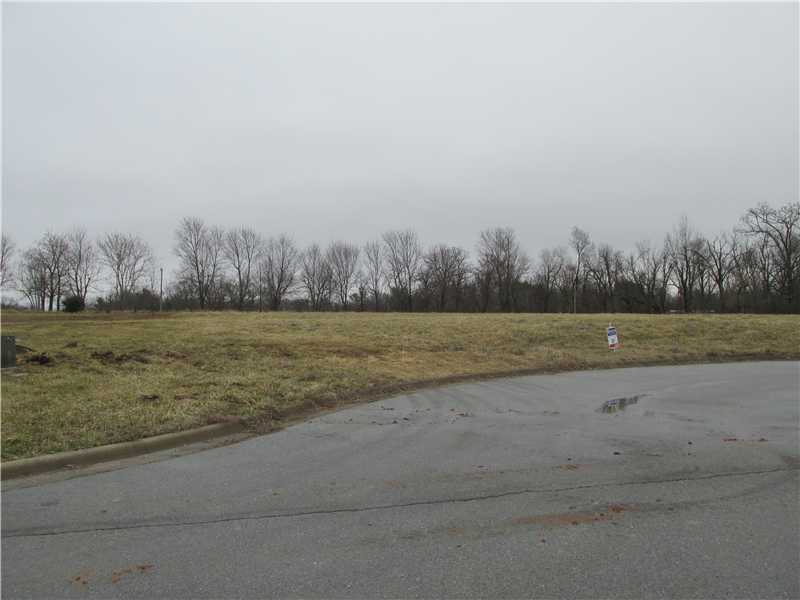 Beautiful country setting .82 acre lot on street of nice new homes. Single street surrounded by pasture and some woods.