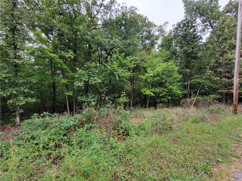 This nearly half-acre lot is located on a quiet circle lined with mature trees with abundant nature all around. The lot backs up to wooded common area that provides privacy from your back yard once you build your new home. The seller has had a perc test done recently. The results show that 340 ft of lateral lines are needed for a 3-bedroom septic system, which shouldn't be a problem for a lot this size. Go check out this lot to see if this is the place for your new home. Pea Ridge schools.