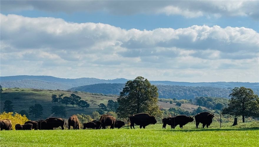 Opportunities to acquire a property of this scale in the Arkansas Ozarks are increasingly rare. Spanning approximately 4,000 ± contiguous acres across Newton and Madison Counties, this remarkable offering represents a true legacy landholding with exceptional potential for conservation, recreation, and long-term stewardship. Acreage to be determined by survey prior to closing.

The property features a diverse Ozark landscape including hardwood forests, open pasture, mountain terrain, natural springs, creeks, ponds, and other water features that support abundant wildlife and natural habitat. An extensive network of 100+ miles of established trails provides access across the property for recreation and land management.

This offering includes MLS #1337478 and MLS #1337481, which are listed separately and included as part of the overall property offering.

Please see attachments for parcel identification numbers for Newton and Madison Counties.