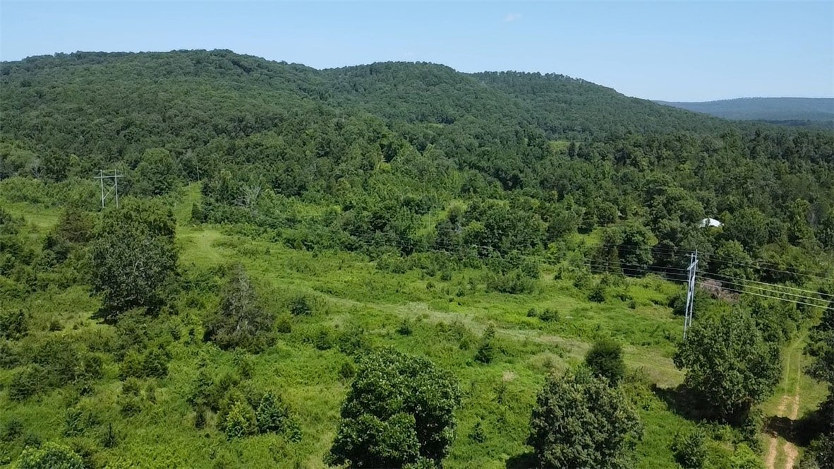Discover 20 acres of peaceful land north of Dover, a perfect rural escape offering privacy, beauty, & incredible recreational opportunities. This tract will be sectioned off of a larger parent parcel and includes a 40x60 barn, ideal for equipment, livestock, storage, or future development as well as a large pond.
A mobile home of no value sits on the property, offering an existing homesite with utilities in place including a year round artesian well ā ready for your new build or cabin retreat. Enjoy beautiful mountain views and the freedom of wide-open space.
Located just minutes from the Ozark National Forest, Piney Creek Recreation Area, and popular ATV trails, this property is a dream for outdoor lovers. Enjoy hunting, fishing, floating, hiking, and riding ATVās right in your backyard.
Only 30 minutes to shopping and amenities, yet surrounded by nature and quiet.
No restrictions. Whether you're looking for a weekend getaway, a homestead, or a recreational haven, this property offers endless potential.