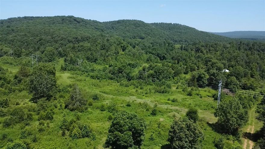 Discover 20 acres of peaceful land north of Dover, a perfect rural escape offering privacy, beauty, & incredible recreational opportunities. This tract will be sectioned off of a larger parent parcel and includes a 40x60 barn, ideal for equipment, livestock, storage, or future development as well as a large pond.
A mobile home of no value sits on the property, offering an existing homesite with utilities in place including a year round artesian well — ready for your new build or cabin retreat. Enjoy beautiful mountain views and the freedom of wide-open space.
Located just minutes from the Ozark National Forest, Piney Creek Recreation Area, and popular ATV trails, this property is a dream for outdoor lovers. Enjoy hunting, fishing, floating, hiking, and riding ATV’s right in your backyard.
Only 30 minutes to shopping and amenities, yet surrounded by nature and quiet.
No restrictions. Whether you're looking for a weekend getaway, a homestead, or a recreational haven, this property offers endless potential.