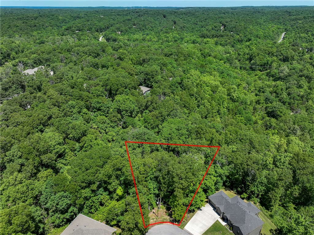 Positioned in a peaceful setting that is walking distance from beautiful Lake Brittany, this half-acre lot offers sloped terrain ideal for a unique custom build with potential for stunning views. Enjoy the quiet surroundings and natural beauty while being close to outdoor recreation, hiking trails, and water activities. Take advantage of this opportunity to create your own retreat in Bella Vista.