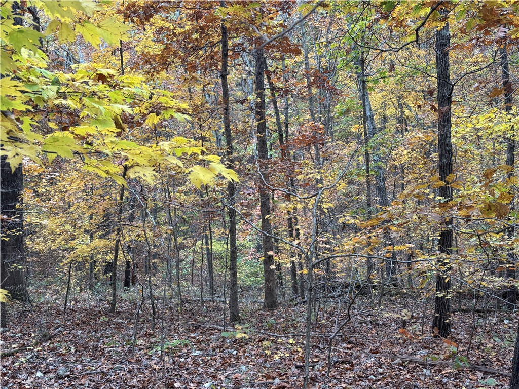 Bethnal Sub Bvv - Land