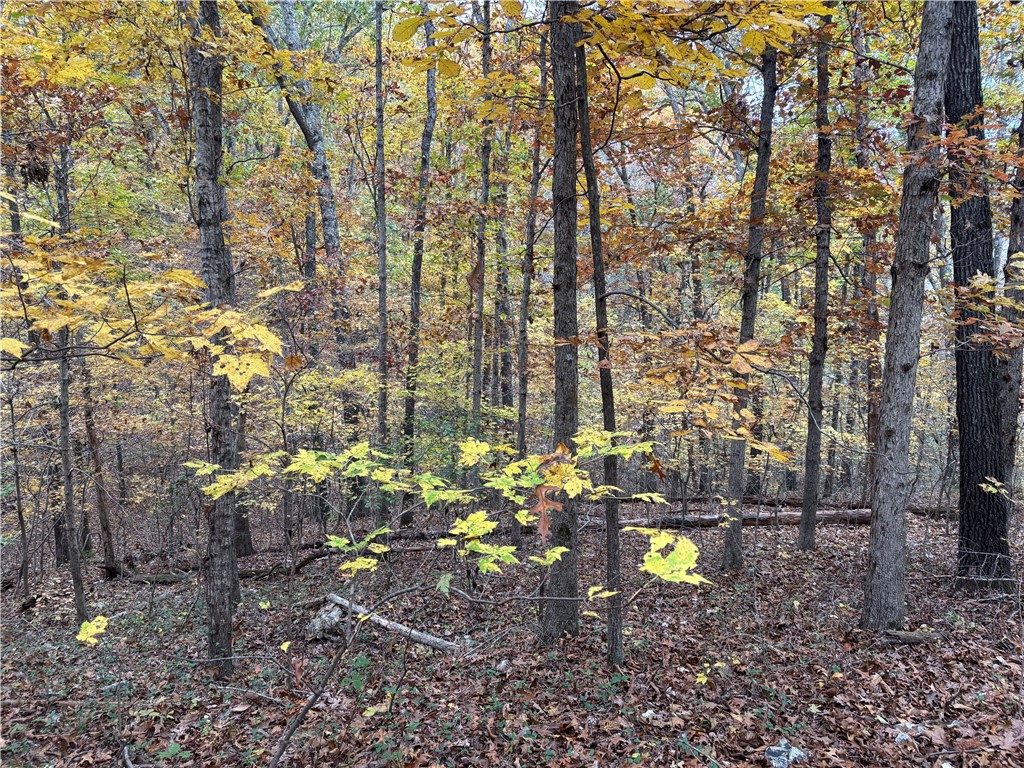 Bethnal Sub Bvv - Land