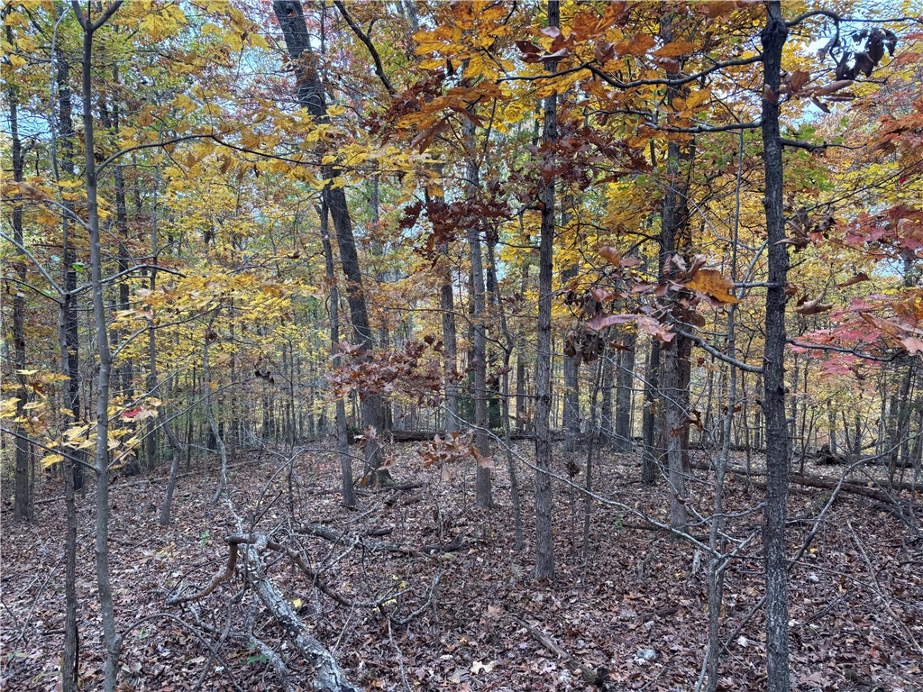 Bethnal Sub Bvv - Land