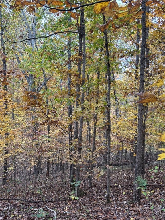 Bethnal Sub Bvv - Land