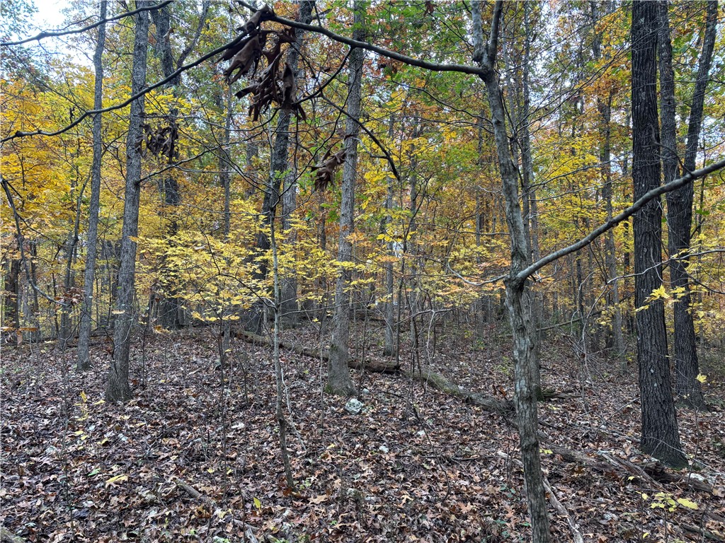 Bethnal Sub Bvv - Land