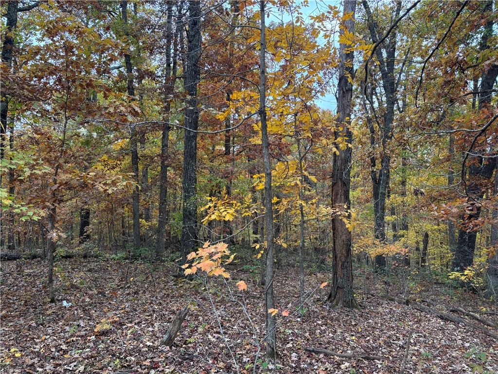 Bethnal Sub Bvv - Land