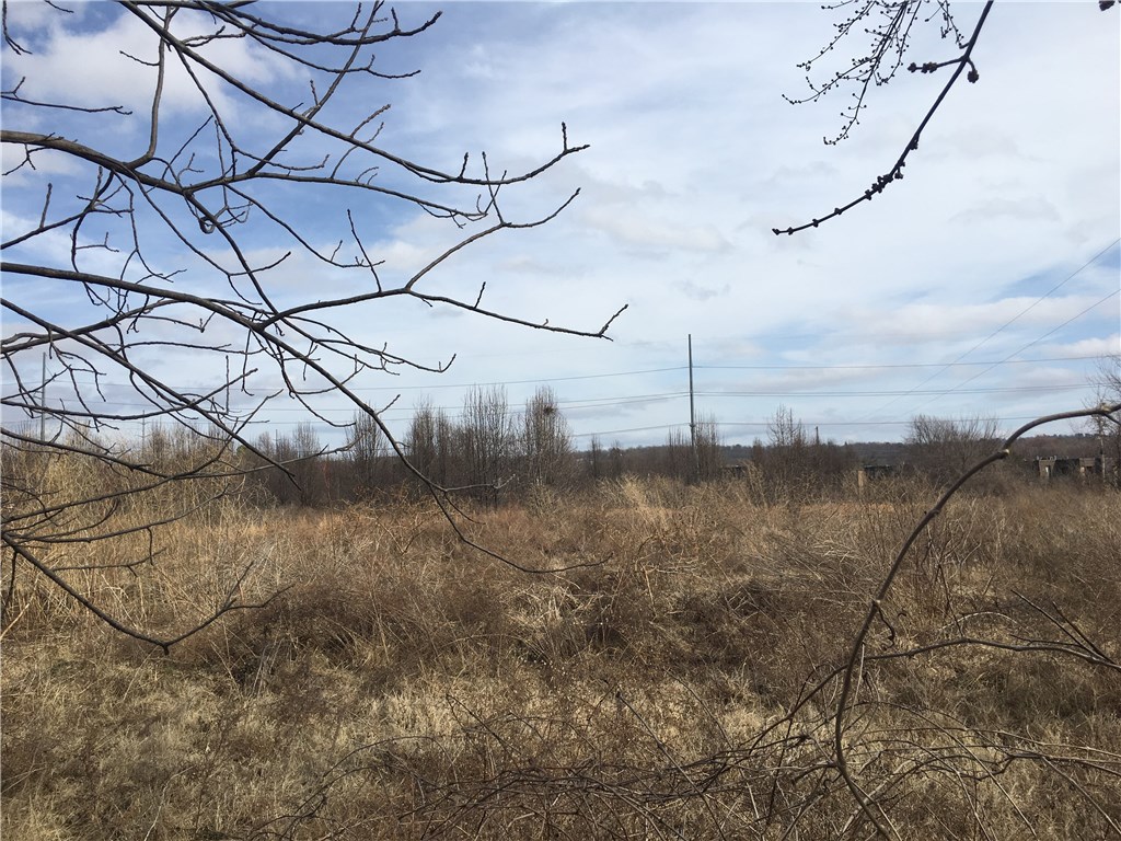 Evans Farm - Land