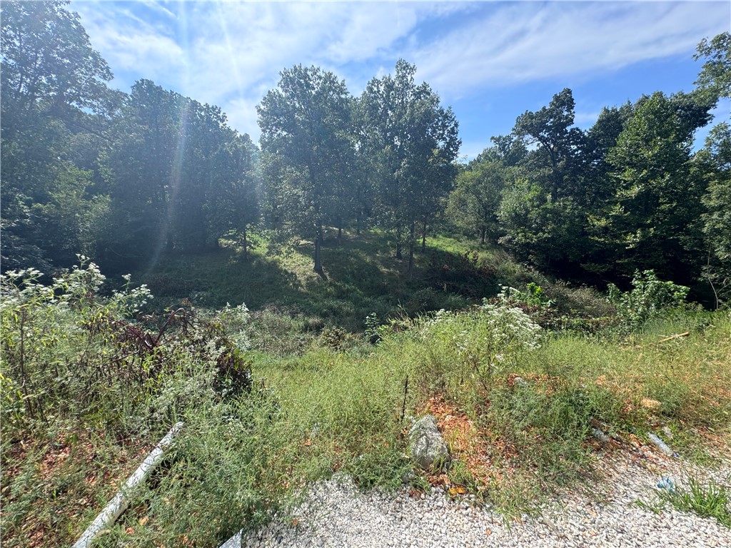 Park Ridge Estates - Residential