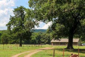Joins National Forest.Nice, Newer(2013)Brick & Siding Home.30+ acres Pasture for cattle and horses.Fenced and cross fenced.4 bedroom, 2 bathroom & 2 car carport.Open floor plan with vaulted ceilings.Patio, storm shelter & mountain views.2275 Heated Square Feet.Additional hookup with electric, septic and water in place.