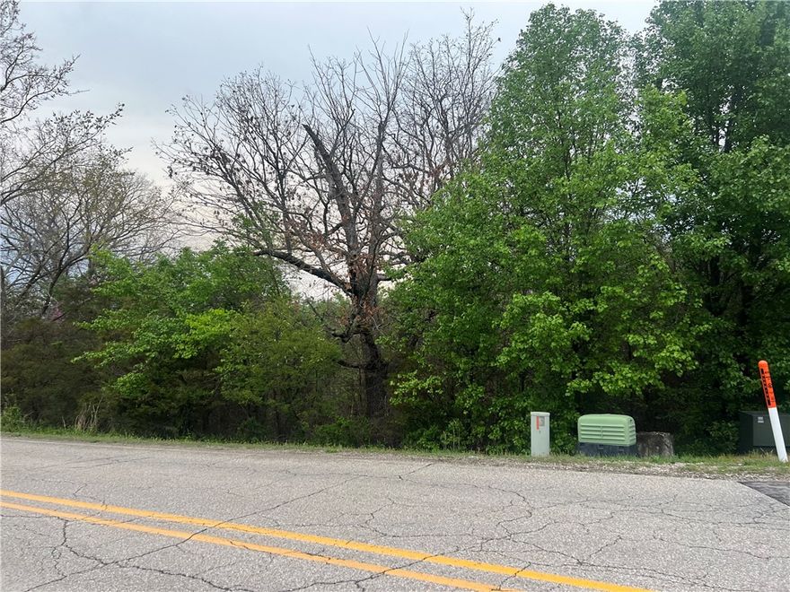 Table Rock Lake C1 Lot. .3 miles from Holiday Island Marina, .2 miles from the Kayak Launch Pad, across the street from the paved Leatherwood Trailhead, 1 mile away from Holiday Island Golf Course and Recreation Center with 2 Swimming Pools, Pickle Ball, Tennis, a Park and much more!  All utilities at the street! Discover the endless possibilities with this remarkable commercial lot, perfectly situated in the Heart of the Island. This property offers a blank canvas ideal for your business dreams or investment purposes. Highlighted features include its prime location, versatility, and potential for high return on investment. This property offers an excellent blend of location and recreation, and access! #LakeLife!  Owner Financing Available.