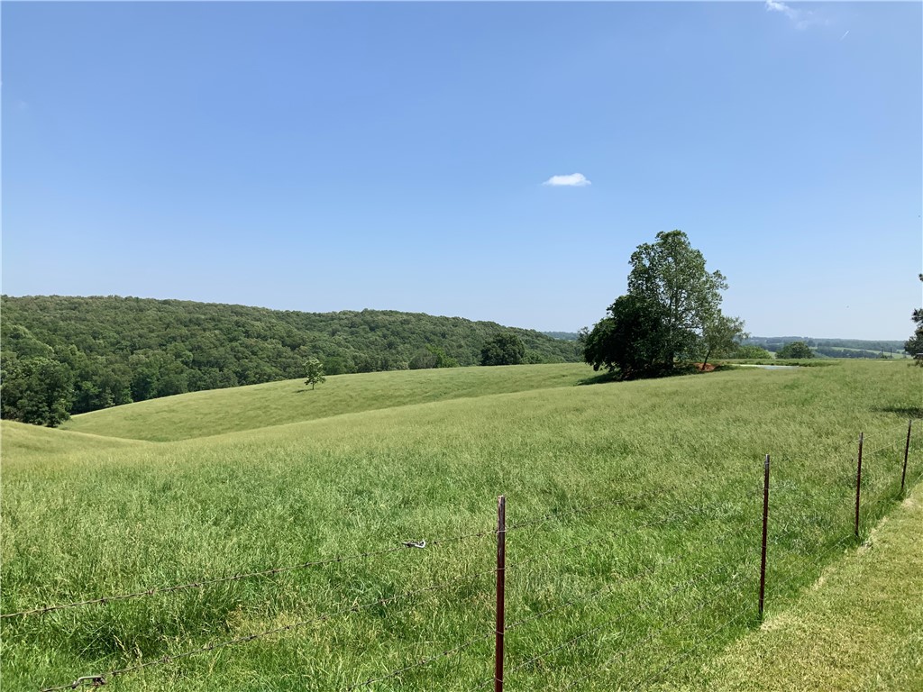 Looking for that ideal tract for a home or small farm? Multiple use options for this prime 16 acres of rolling, useable pasture land. Open ground with hardwood shade trees, pond, peaceful setting with country views, paved road access with rural water. Ideal for animals with corral system, freeze-proof waterer from pond, perimeter fenced. Desirable location to enjoy a country setting with ease of access to Hwy 412 and all your amenities. Call to take a look today!
