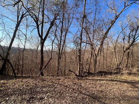 Unimproved Land in Holiday Island AR Lot 30, Block 2 Woodcliff Lane 2.jpg