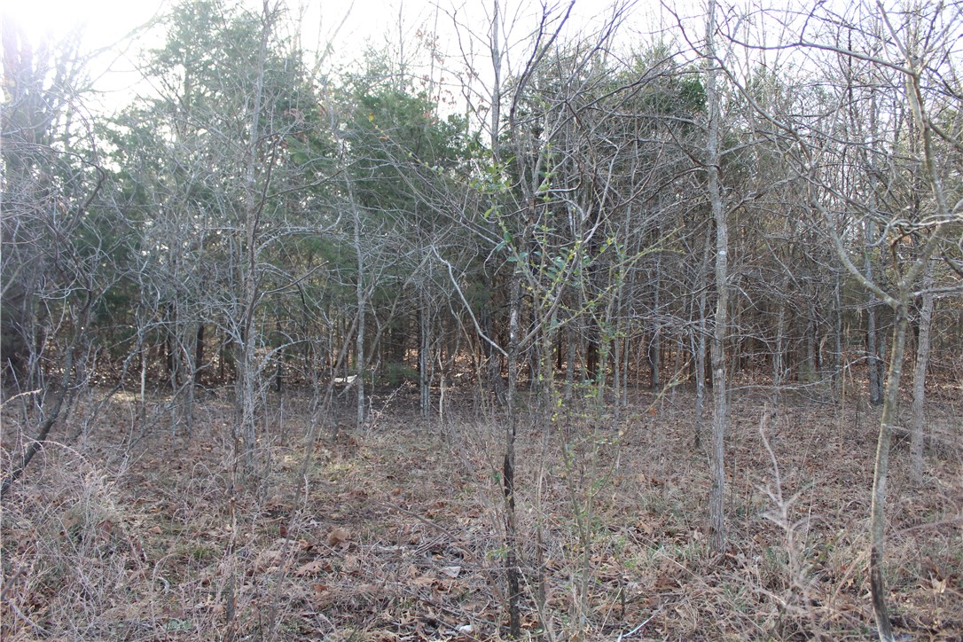 Deerfield Phase 2 - Land