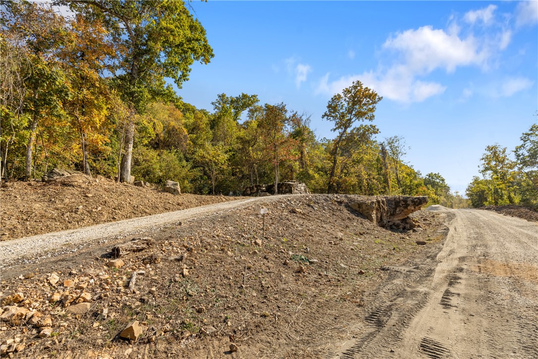 Come check out Lot 109 (0.90 m/l ac) at Round Mountain Estates. This lot is more of a horizontal shape with large boulders and a potential circle drive. Like most lots at RME, the views here are amazing! RME is a new, master planned, exclusive subdivision located 10 minutes west of Harrison, AR. The following utilities are already on site making the building process much easier for you; natural gas, fiber optic internet, electric, public water, and sewer. Interested in your family seeing the star lights instead of those city lights? RME is what you've been searching for! RME features a 350 +/- acre common area for its residents that includes a stocked fishing pond, Kissing Rock trail, natural springs to explore, Baby Canyon trail, incredible bluff lines to climb, and views for hundreds of miles that will not only take your breath away but will forever be etched in your memory! Neighborhood amenities coming soon.