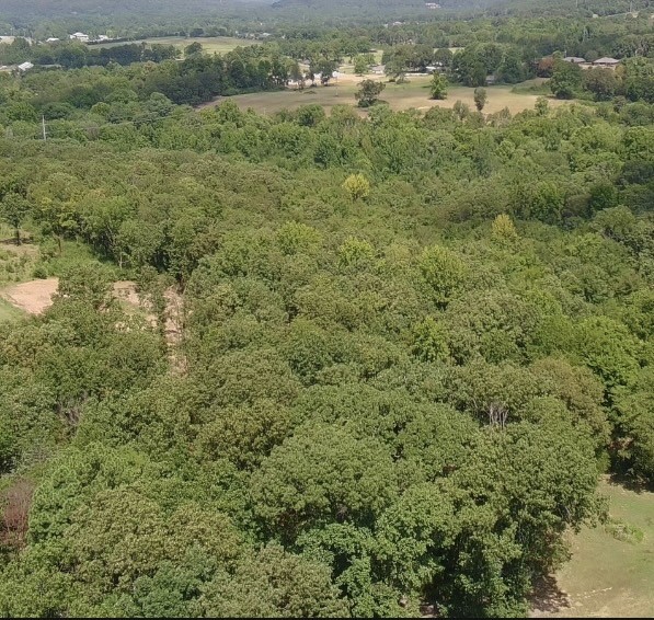 Huntington Place Phase 2 - Land