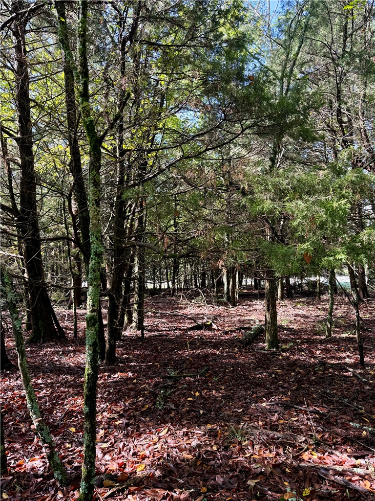 Whitney Mountain Sec 1 Rurban - Land