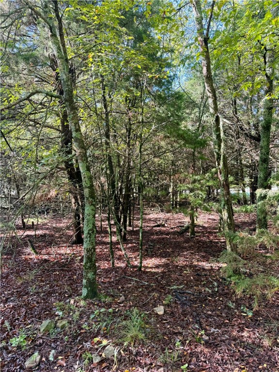 Whitney Mountain Sec 1 Rurban - Land