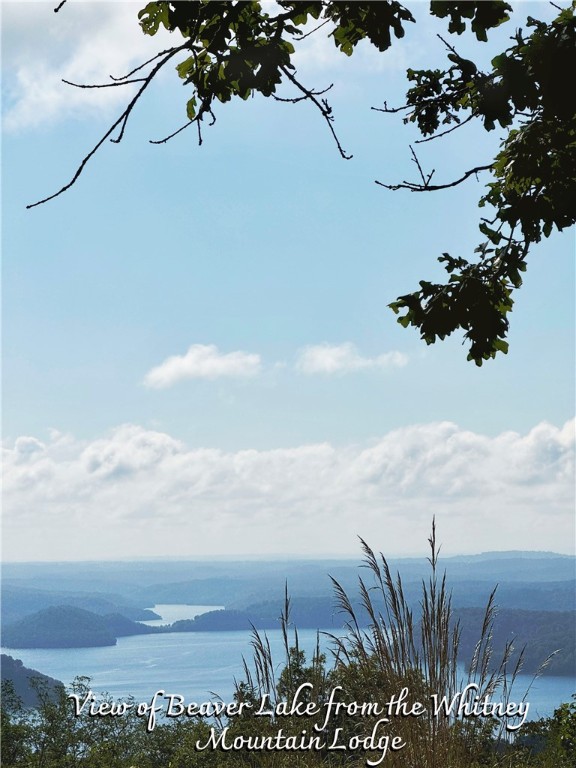 Whitney Mountain Sec 1 Rurban - Land