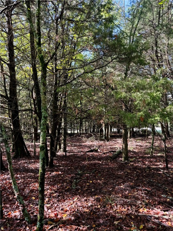 Whitney Mountain Sec 1 Rurban - Land