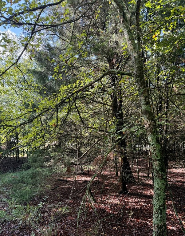 Whitney Mountain Sec 1 Rurban - Land