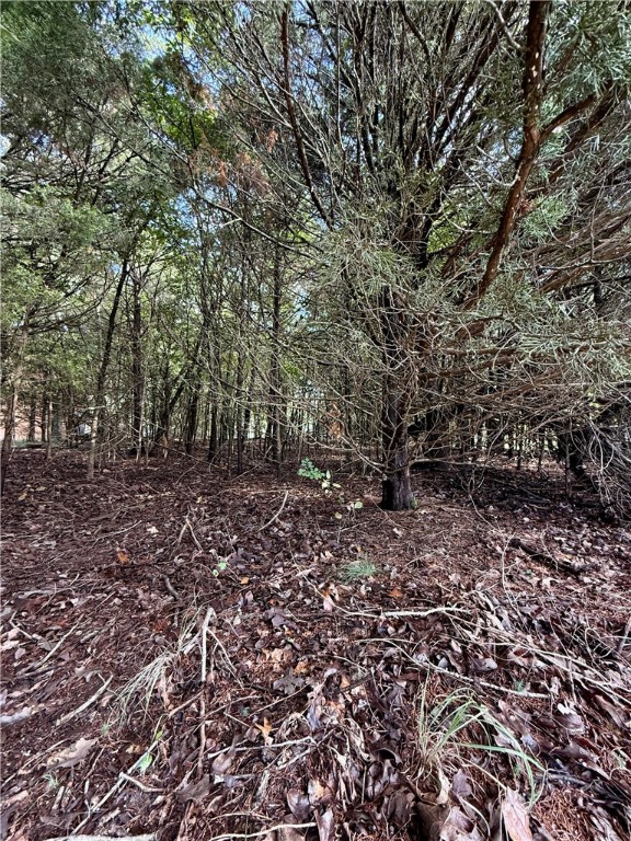 Whitney Mountain Sec 1 Rurban - Land