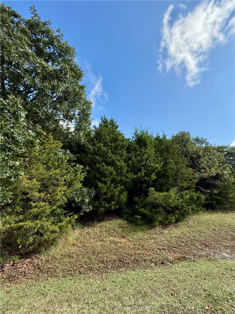 Whitney Mountain Sec 1 Rurban - Land