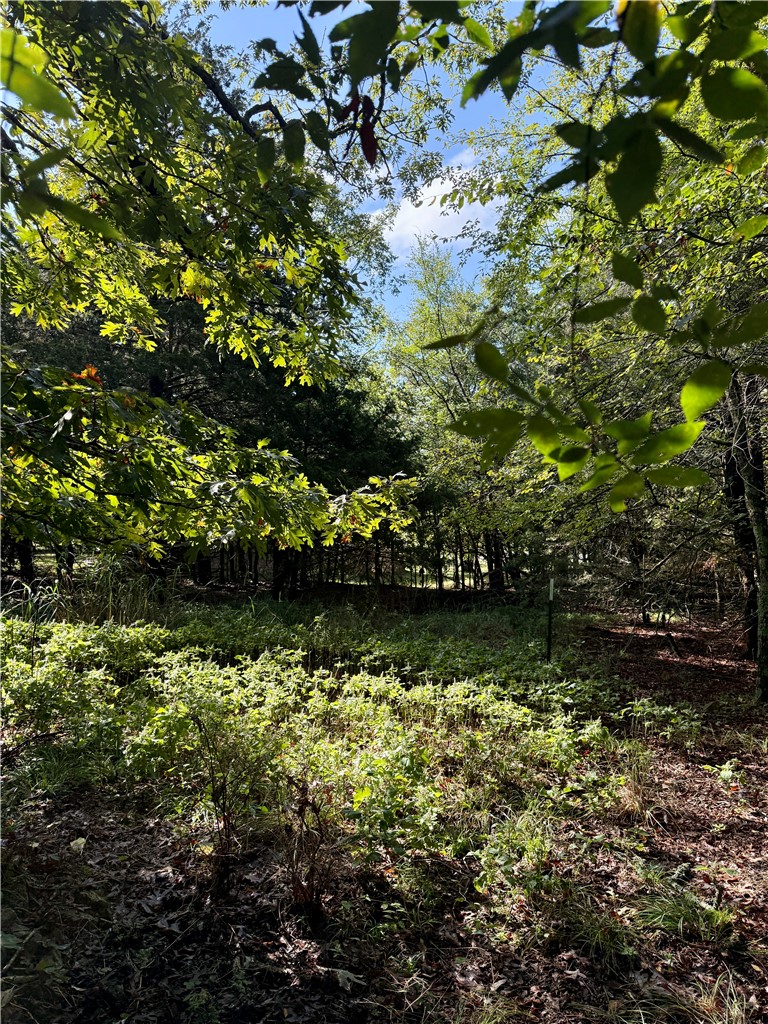 Whitney Mountain Sec 1 Rurban - Land