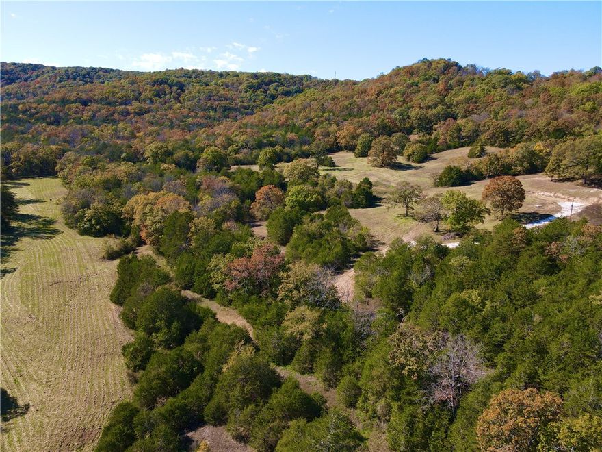 60 Acres With Well, Electric, Septic, Footing, Cave, Creek, Pasture , and Timber. Just minutes from some of Northwest Arkansas’ most sought-after recreation areas, this property is ready for your vision.
The land features a strong start for development with a 8/10 of a mile deeded easement to property from paved HWY 187, well, electric service, and 1000 gallon septic tank already in place, plus an existing 1290± square-foot foundation footing, providing a head start for building your dream home or cabin. Gently rolling terrain opens up to pastureland perfect for livestock or hobby farming, with stretches of mature timber that offer privacy and abundant wildlife habitat. A mostly year round creek with pools that meanders through the property, and a cave that adds a touch of Ozark wonder. Location is everything, and this property delivers. Enjoy easy access to multiple world-class recreational destinations: just 10 minutes to Beaver Lake Dam, 8 minutes to the White River, and 10 minutes to Table Rock Lake