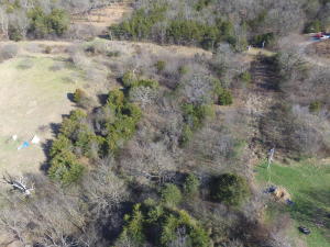 Nice 3 acres to build your home on. Located about 7 miles North of Berryville, has about 60 foot of paved CR frontage and access from Maple Mountain Estates. No restrictions will need well and septic but power is across the property.