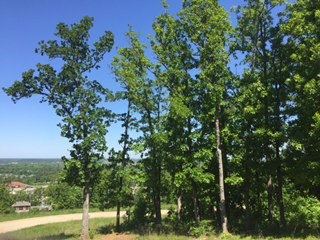 Summit Place Sub - Land