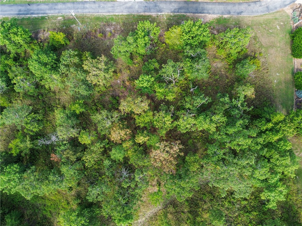 DEL LAGO ESTATES UNIT 1-RURBAN - Land