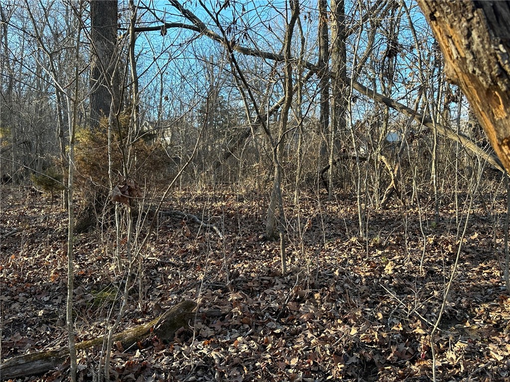 Want a lot that you can walk down and get straight onto Lago Vista Spur Trail? This lot has a gradual slope from the cul-de-sac to the clearing below where the trail is clear to see. Buyer to determine the correct dimensions. Plat map attached to mls listing. No Seller Disclosure. Subject to Probate Court Approval. No perc test. Utilities for the property will be the responsibility of the buyer to confirm availability.