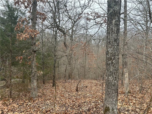 DALBEATTIE LN, BELLA VISTA, AR 72715 - Image 2951f4457e4d7a97dfddc331f2f61edf/4247454390