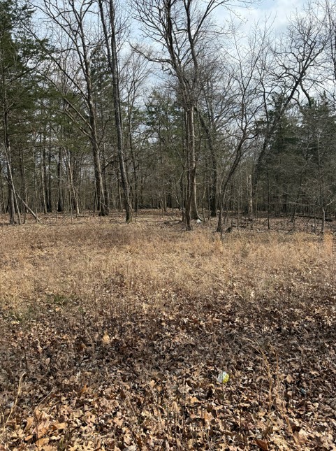 Leisure Hills - Residential