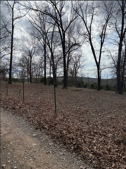 Leisure Hills - Residential