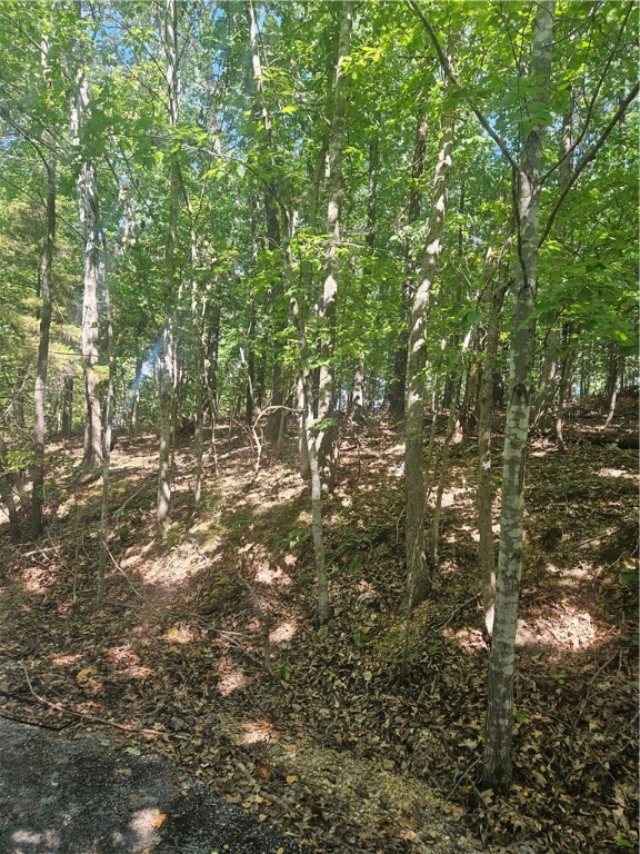This is a rare opportunity to build your dream home on over 2/3 of an acre. The 2 lots have been perc tested, surveyed, had a septic design approved through the Benton County Health Dept. and got the easement release between the 2 lots. (This will save you time and money) It's close to Branchwood Rec Center and the Highlands Golf Course. Check out the Supplements Section for the information on the septic design and plans.