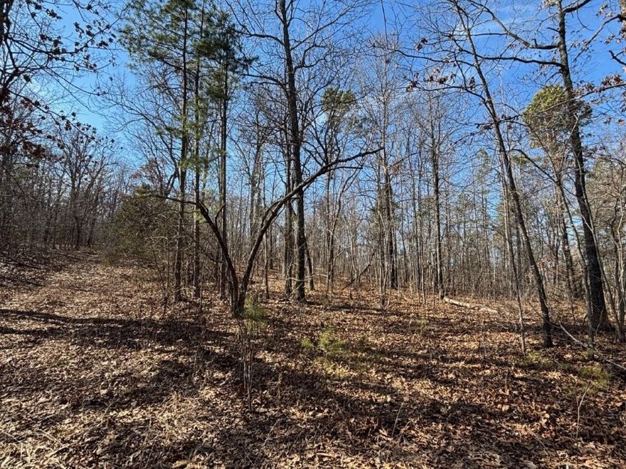 Nice wooded 40 acre parcel with some views and abundant wildlife. Approximately 3 miles from the Woolum Landing  on the Buffalo River. Electricity is on an adjoining tract