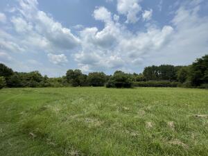 Just off Hwy 27/Camp Street within minutes of Dover Elementary lies this 2+/- acres of great development potential with city utilities available nearby.