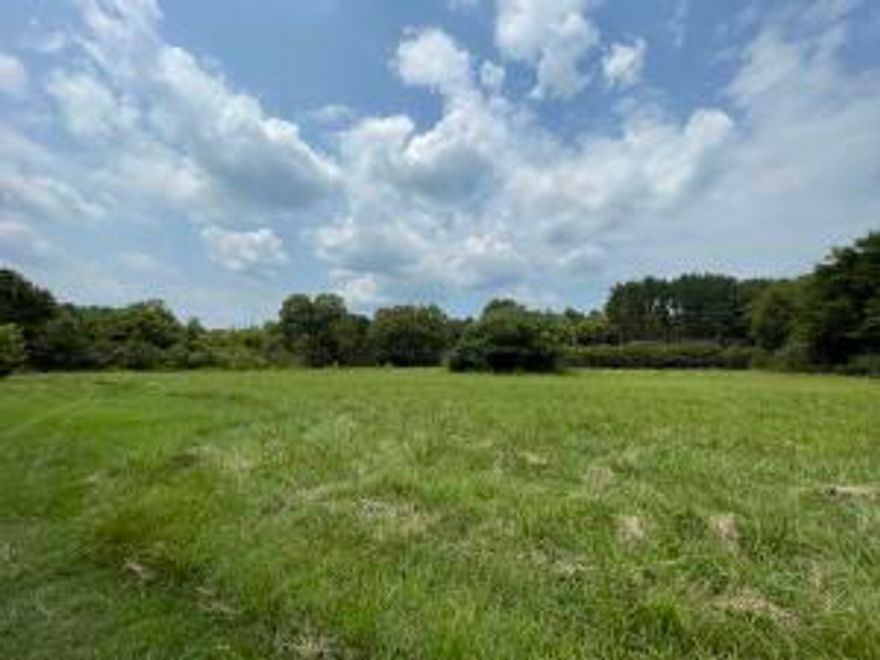 Just off Hwy 27/Camp Street within minutes of Dover Elementary lies this 2+/- acres of great development potential with city utilities available nearby.