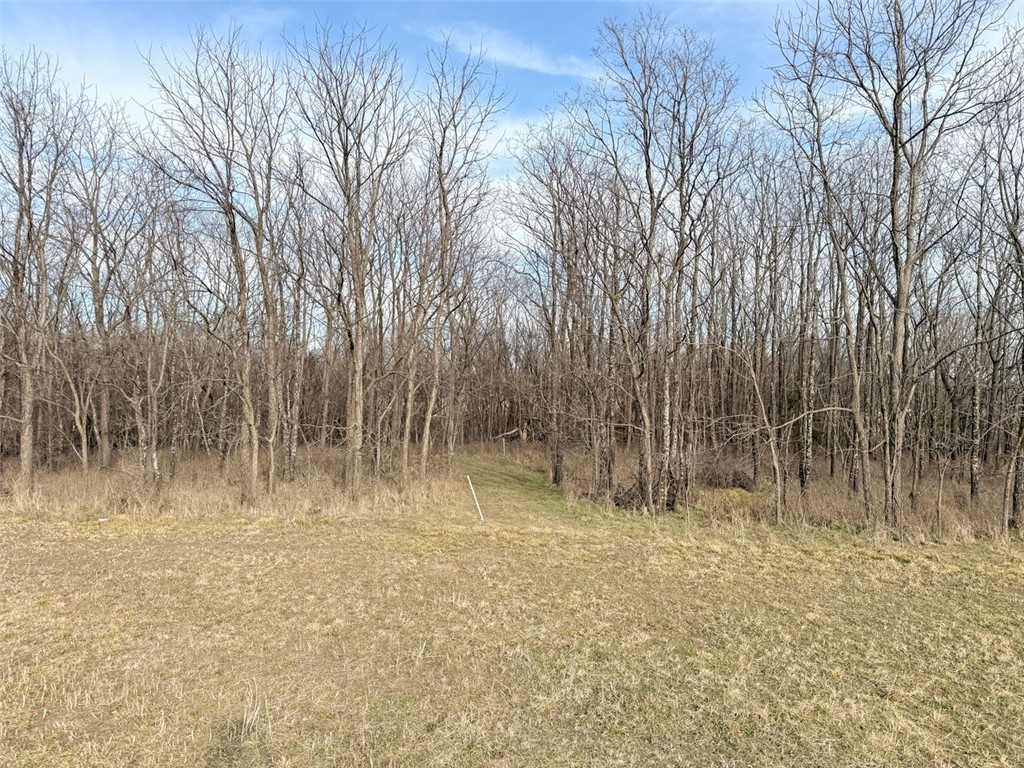 Cabins At Big Springs - Land