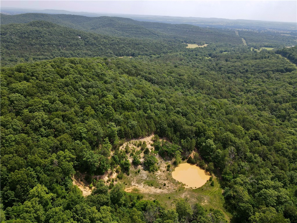 93+/- acre property 6+/- minutes from Eureka Springs. This property offers a blend of comfort, self-sufficiency, and natural beauty. The 1261+/- sqft 2 bed/1 bath home features cozy living spaces with serene views of the forest. No matter what your seeking this property delivers on every level. There's a spacious 1040+/- sqft shop and a 280+/- sqft greenhouse, ideal for growing your own produce. The storm shelter/cellar adds an extra layer of security and storage, ensuring peace of mind. To make this property even better there's an additional cabin perched on a point, offering breathtaking views of the valley below. The towering mature oak and pine timber creates a peaceful canopy, while the level areas provide ample opportunities for additional rental cabins or custom home build-sites. A well-maintained trail system winds through the property, leading to unique features like shelter bluffs, a tranquil pond, and even a fresh spring nestled in a small cave. Wildlife includes turkey, deer, and other small game.
