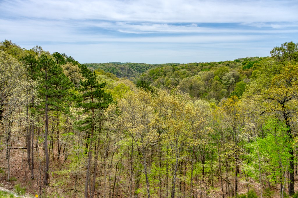 9+ acres within a few miles of Beaver Dam! With some tree clearing, your building site could have a nice valley view. Easy drive from Eureka Springs and not far from Starkey Marina. Simple access off of a main highway. An easy slope, mature trees, and not much underbrush make this a very pleasant property!
