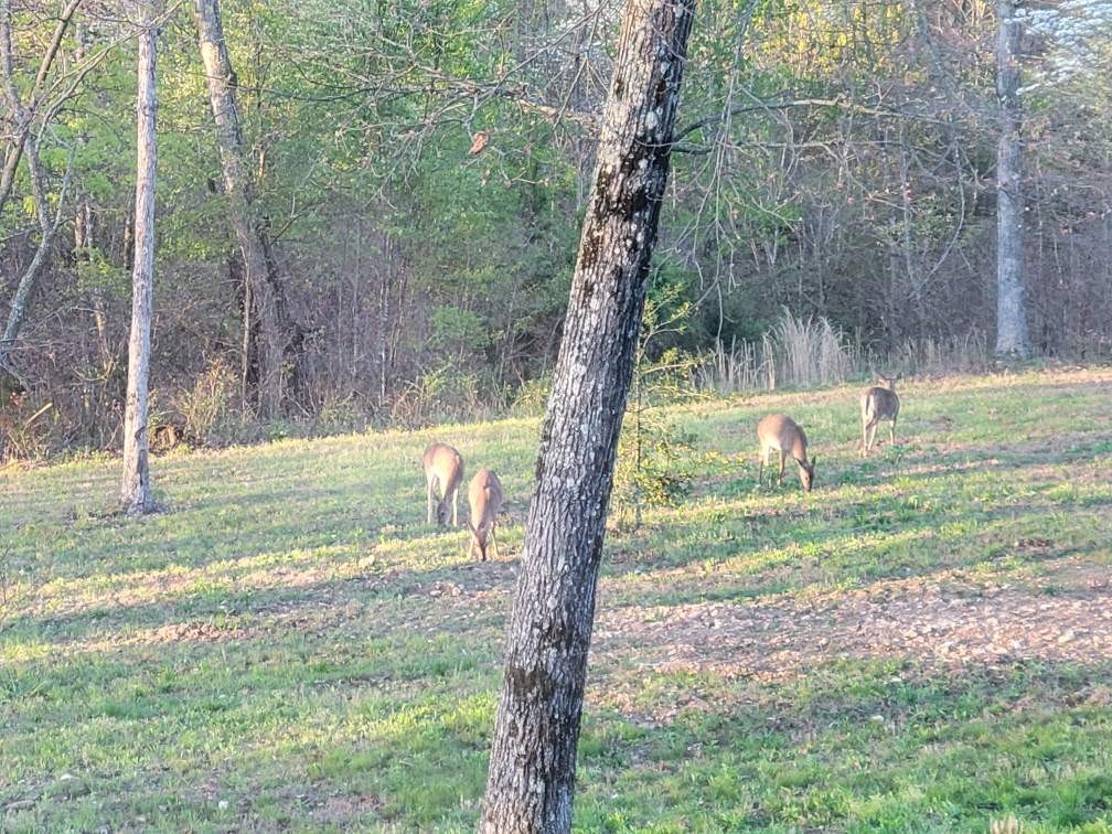 04-20-28 Rural - Residential