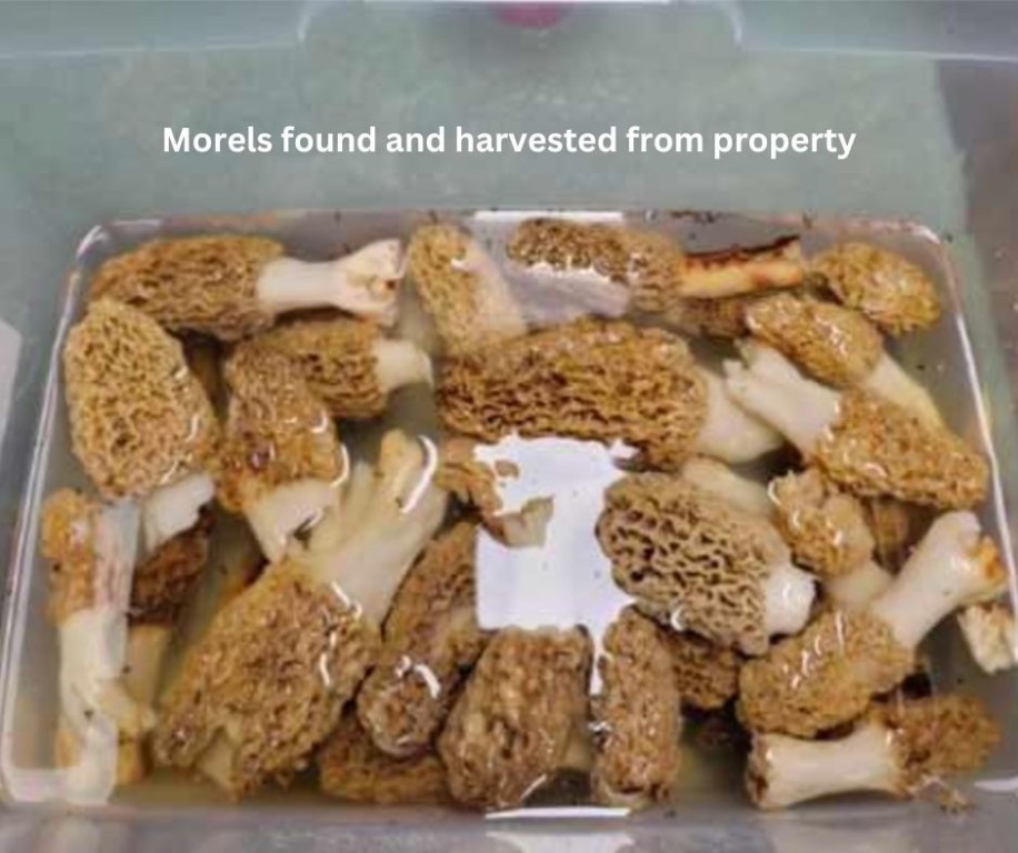 04-20-28 Rural - Residential